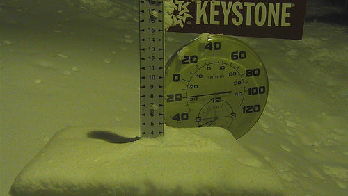 Keystone Ski Resort Webcam