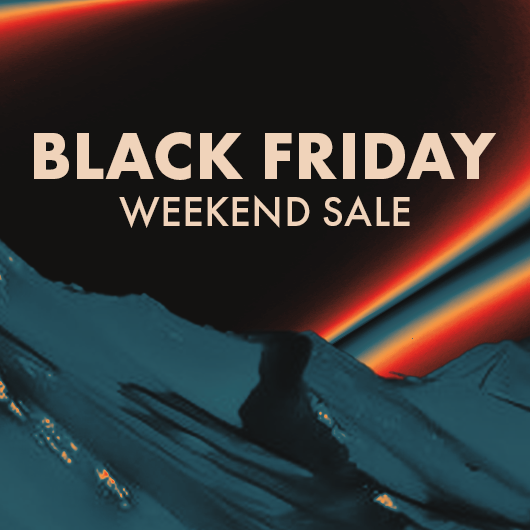 BLACK FRIDAY IN STORE SALES