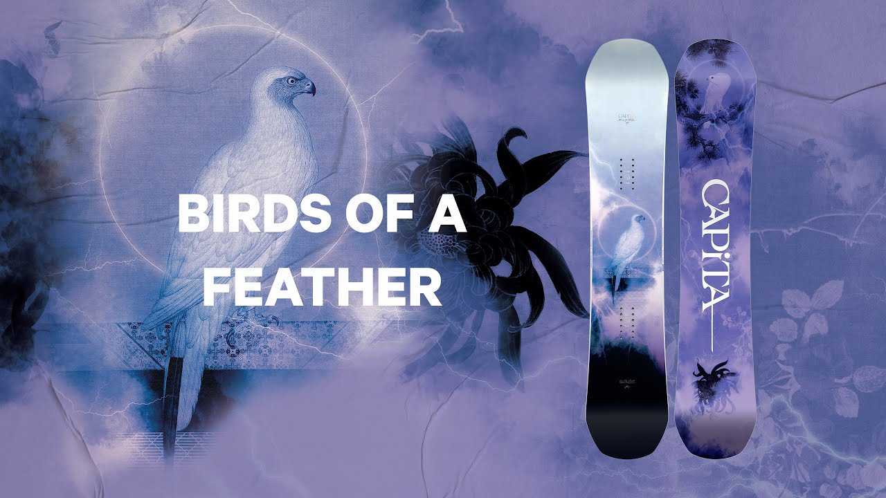 Video: CAPiTA Snowboards | 2024 Birds of a Feather