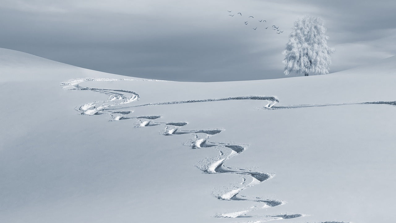 Backcountry Safety