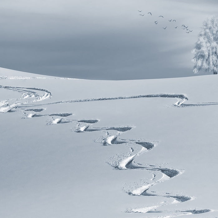 Backcountry Safety