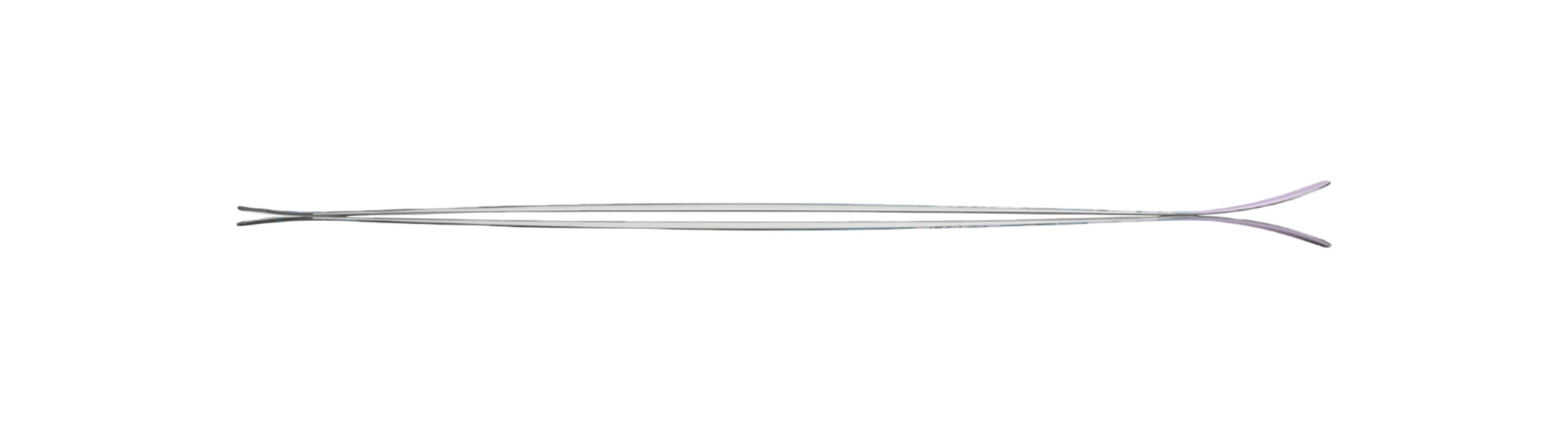 Nordica Junior's Santa Ana 80 S Skis 2025