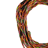 Ronix RXT Mainline Wakeboard Rope 2025