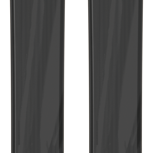 Pair of black skis with gold emblem and branding on the ski tips and tails
