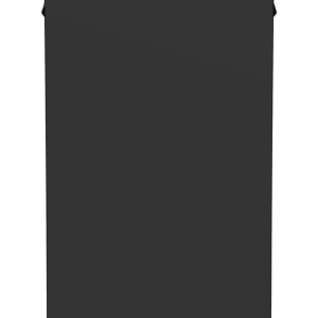 Women’s skis, dark gray with minimal graphics