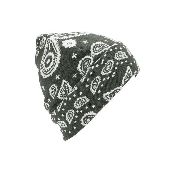 Volcom Women's Shred Beanie – Slouch Fit Winter Style – Ski Pro AZ