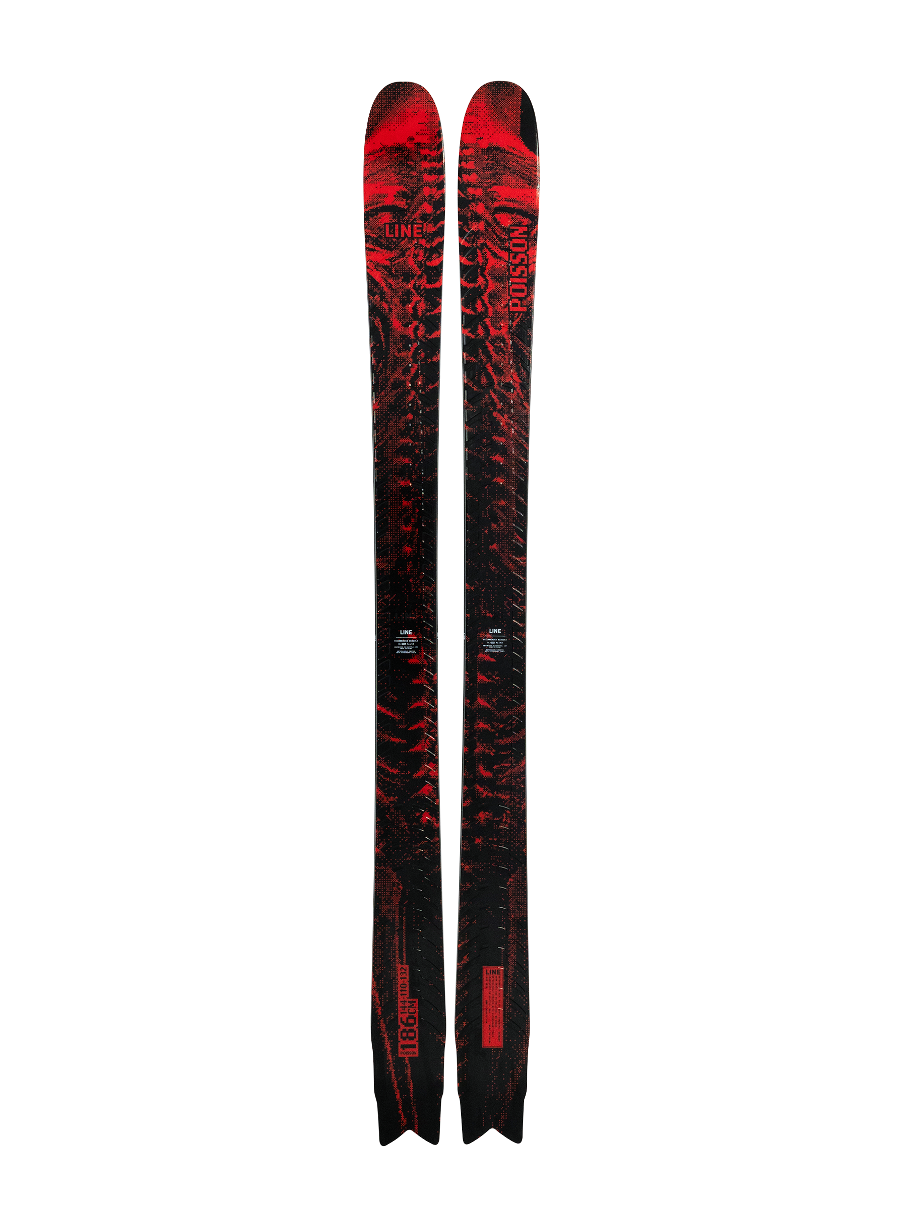 Line Poisson skis, black with red patterned tops, pair of skis front view