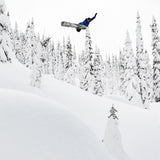 Lib Tech Dynamo Snowboard 2026