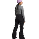 North Face Women's Freedom Stretch Pant - A pair of black snow pants with a subtle white stripe on the side.