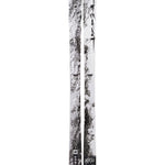 Armada BDOG Skis 2025 - White skis with black marbled pattern and distinctive "BDog" logo on top.