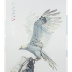 CAPiTA Women's Birds of a Feather Snowboard 2026 - A white snowboard with a bird design on top, featuring a light blue and gray pattern.