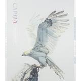 CAPiTA Women's Birds of a Feather Snowboard 2026 - A white snowboard with a bird design on top, featuring a light blue and gray pattern.