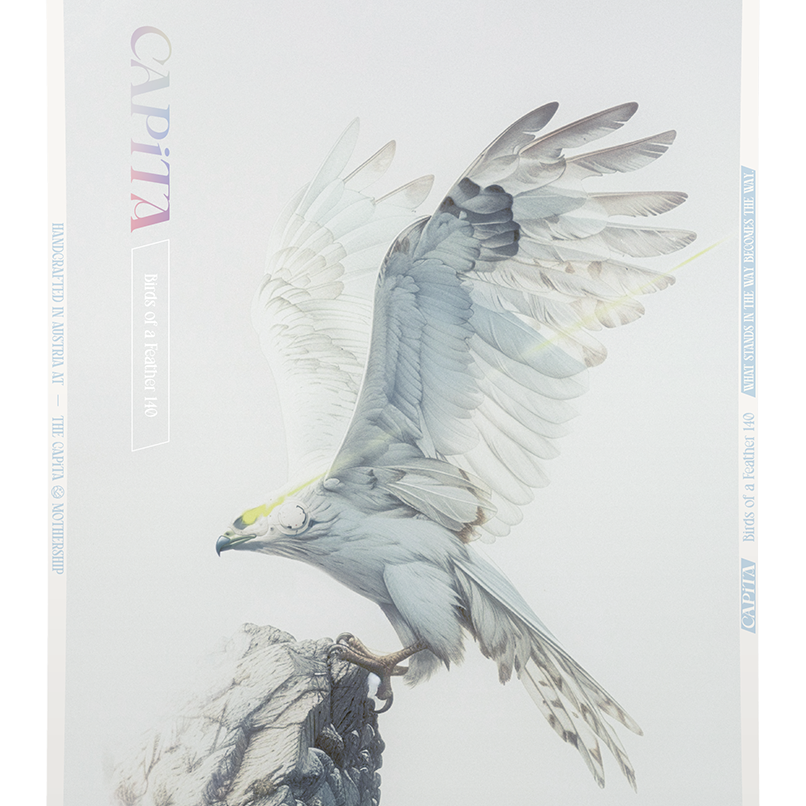 CAPiTA Women's Birds of a Feather Snowboard 2026 - A white snowboard with a bird design on top, featuring a light blue and gray pattern.