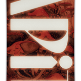 CAPiTA Women's Paradise Snowboard 2026 - A snowboard with a brown and white floral pattern on its top sheet.