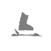 Ski Mounting Service - A blank white image with a faint gray outline of a pair of skis and ski bindings, likely used for illustration purposes only.