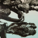 Ronix Supreme Wakeboard 2024 - A black-and-white image of a wakeboard with a white logo on its side, lying flat on a light-colored surface.