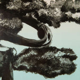 Ronix Supreme Wakeboard 2024 - A black-and-white image of a wakeboard with a white logo on its side, lying flat on a light-colored surface.