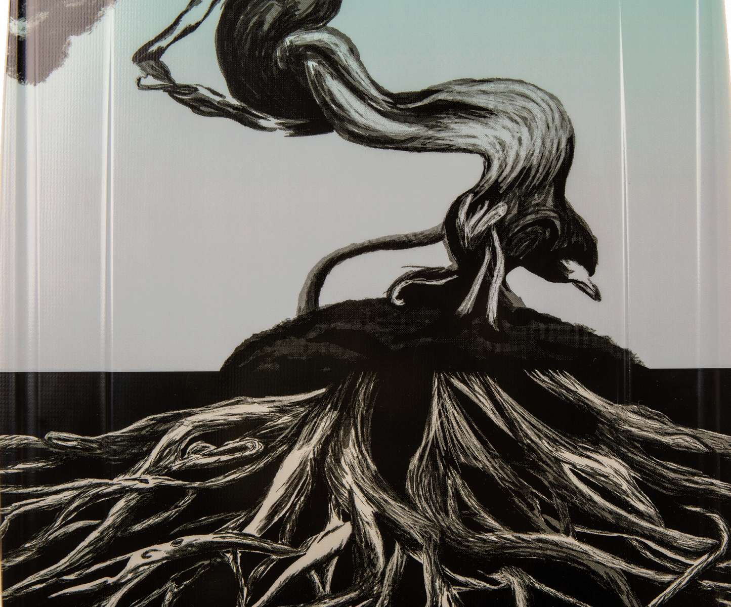 Ronix Supreme Wakeboard 2024 - A black wakeboard with a white logo and text on its top side.