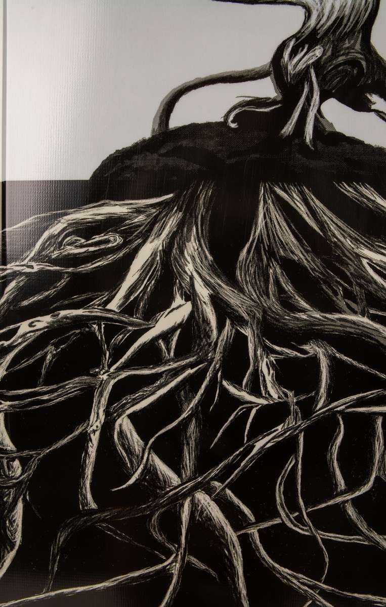 Ronix Supreme Wakeboard 2024 - A black wakeboard with a white logo and text on its top side.