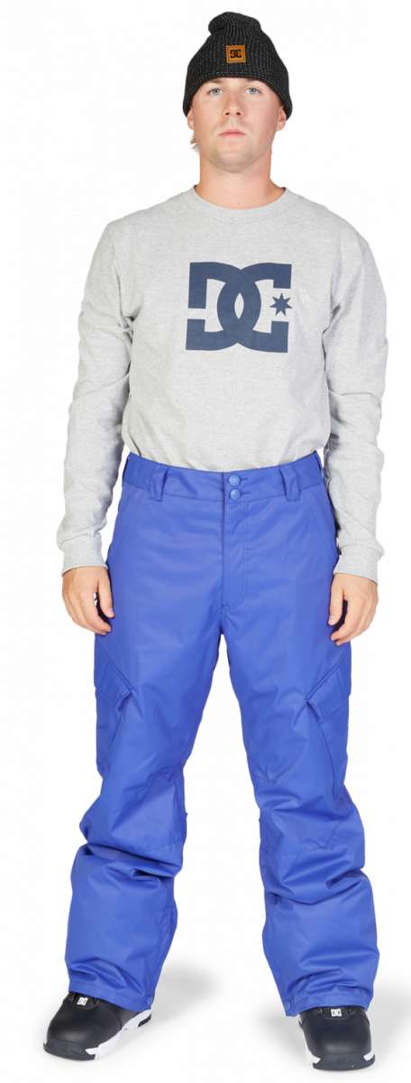 DC Banshee Insulated Pant 2023 - A pair of insulated snowboard pants with a black and white logo on the left thigh.