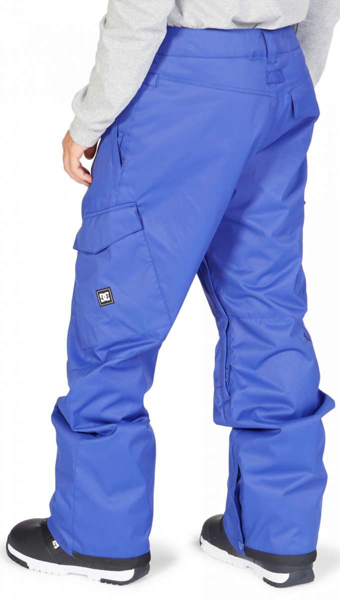 DC Banshee Insulated Pant 2023 - A pair of insulated snowboard pants with a black and white logo on the left leg.