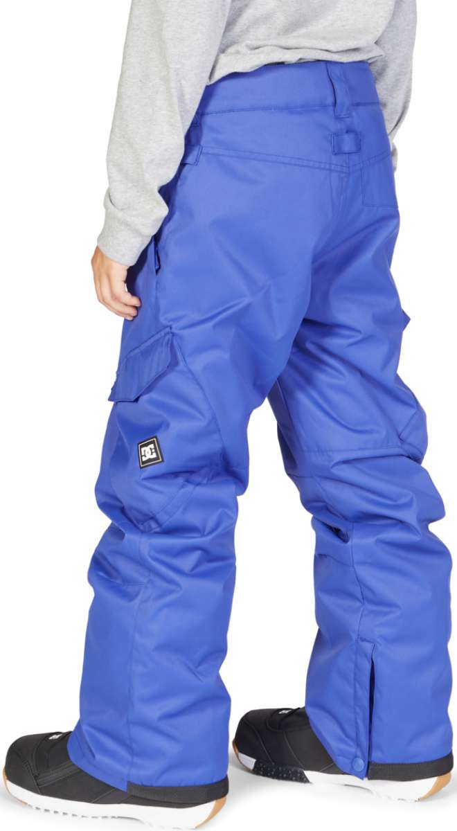 DC Junior's Banshee Insulated Pant 2023 - A pair of insulated snow pants with a black and white logo on the left leg.