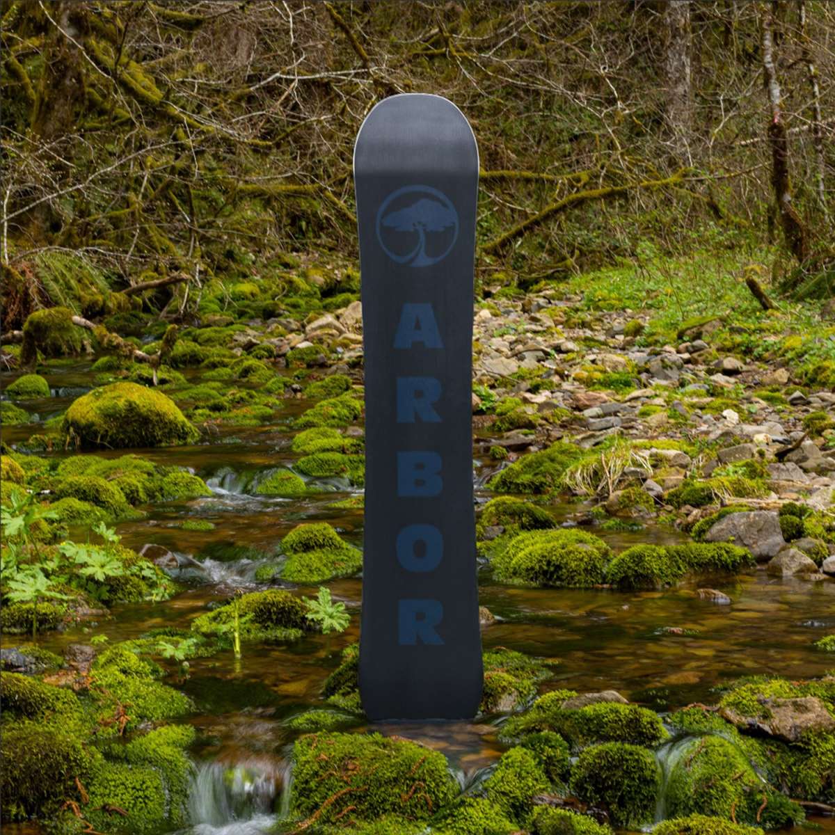 Arbor Foundation Rocker Snowboard 2024 - A black snowboard with a white logo featuring an arched tree, set against a backdrop of rocks and moss.