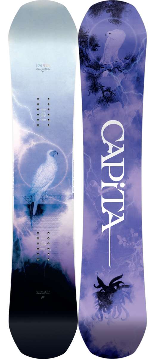 Birds of a Feather - A snowboard with a blue and white bird design on a light-blue background.