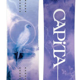 Birds of a Feather - A snowboard with a blue and white bird design on a light-blue background.