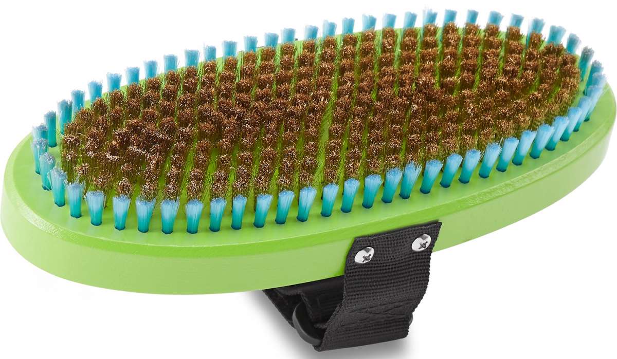 Dakine Premium Oval Brass Brush - A green oval-shaped brush with a row of blue bristles and a brown, fuzzy center.