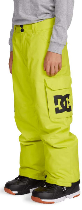 DC Youth Bansee Insulated Pants 2021-2022