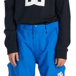 DC Youth Banshee Insulated Pant 2024 - A pair of blue snow pants with a white DC logo on the left leg.