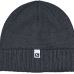 Flylow Forecaster Beanie 2023 - A dark gray beanie with a small white logo on the front.
