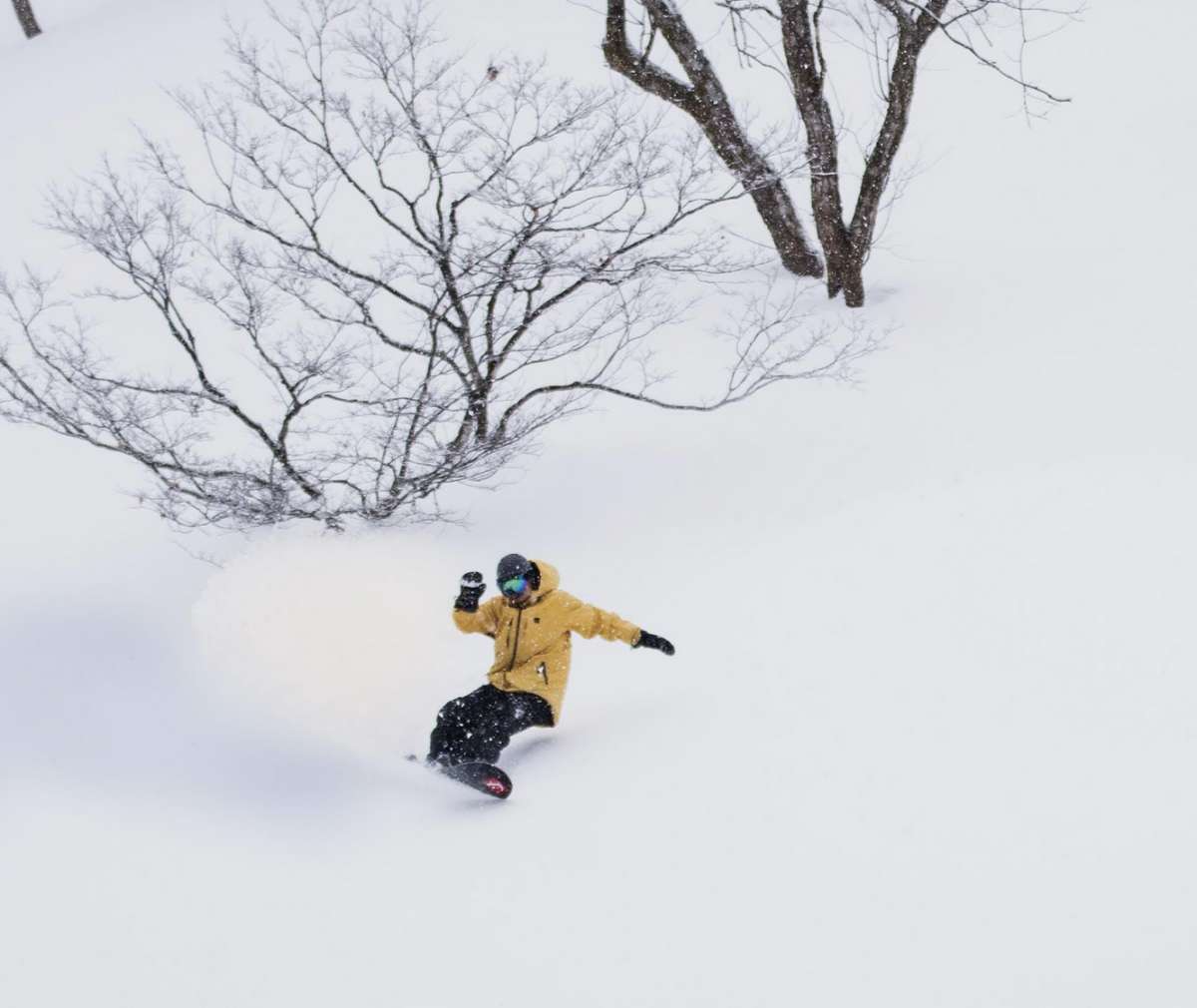 Head Draw Lyt Limited Edition Snowboard 2022 - A snowboard with a black base and white, wavy lines on top.