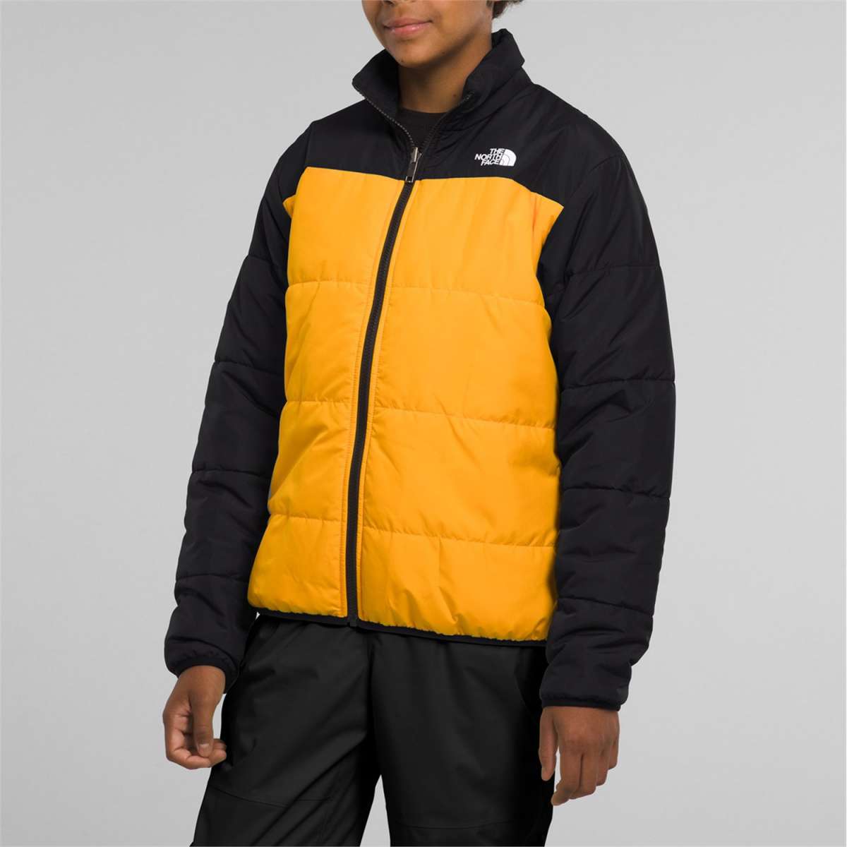 North Face Boys Freedom Triclimate Jacket 2024 - A boy wearing a black and yellow jacket with a white logo on the upper right side of his chest.