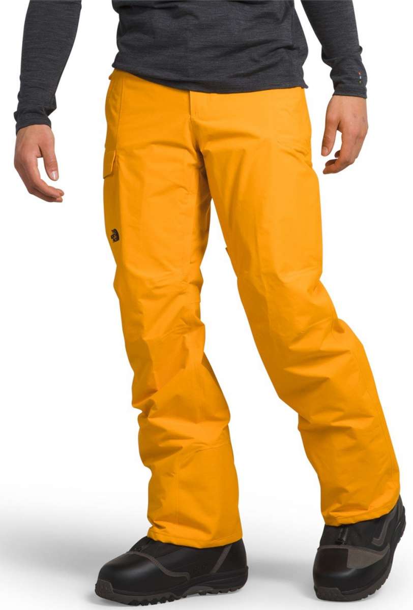 North Face Freedom Stretch Pants - Black pants with a subtle white logo on the left thigh and black drawstring at waistband.