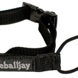 Oneball Back N Black Leash 2022-2023 - A black leash with a metal clip and woven nylon strap.