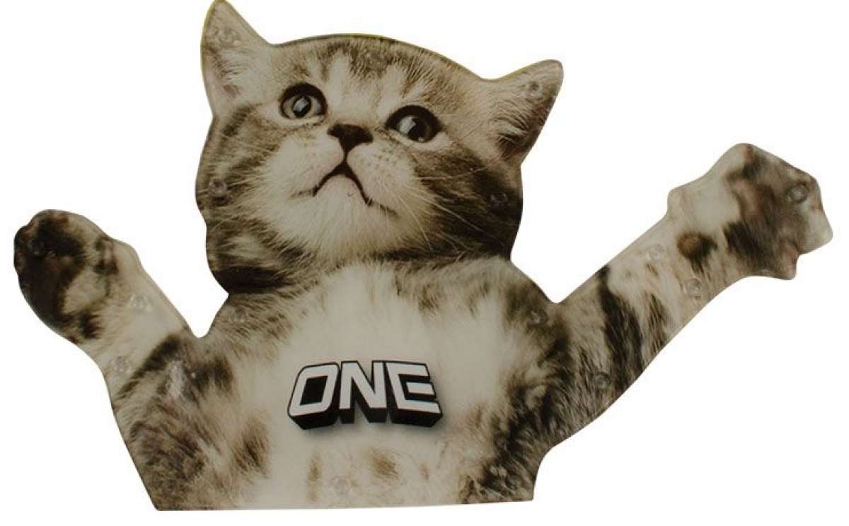 Flying Cat - A cat with a surprised expression, wearing a white shirt that says "ONE" in bold letters.