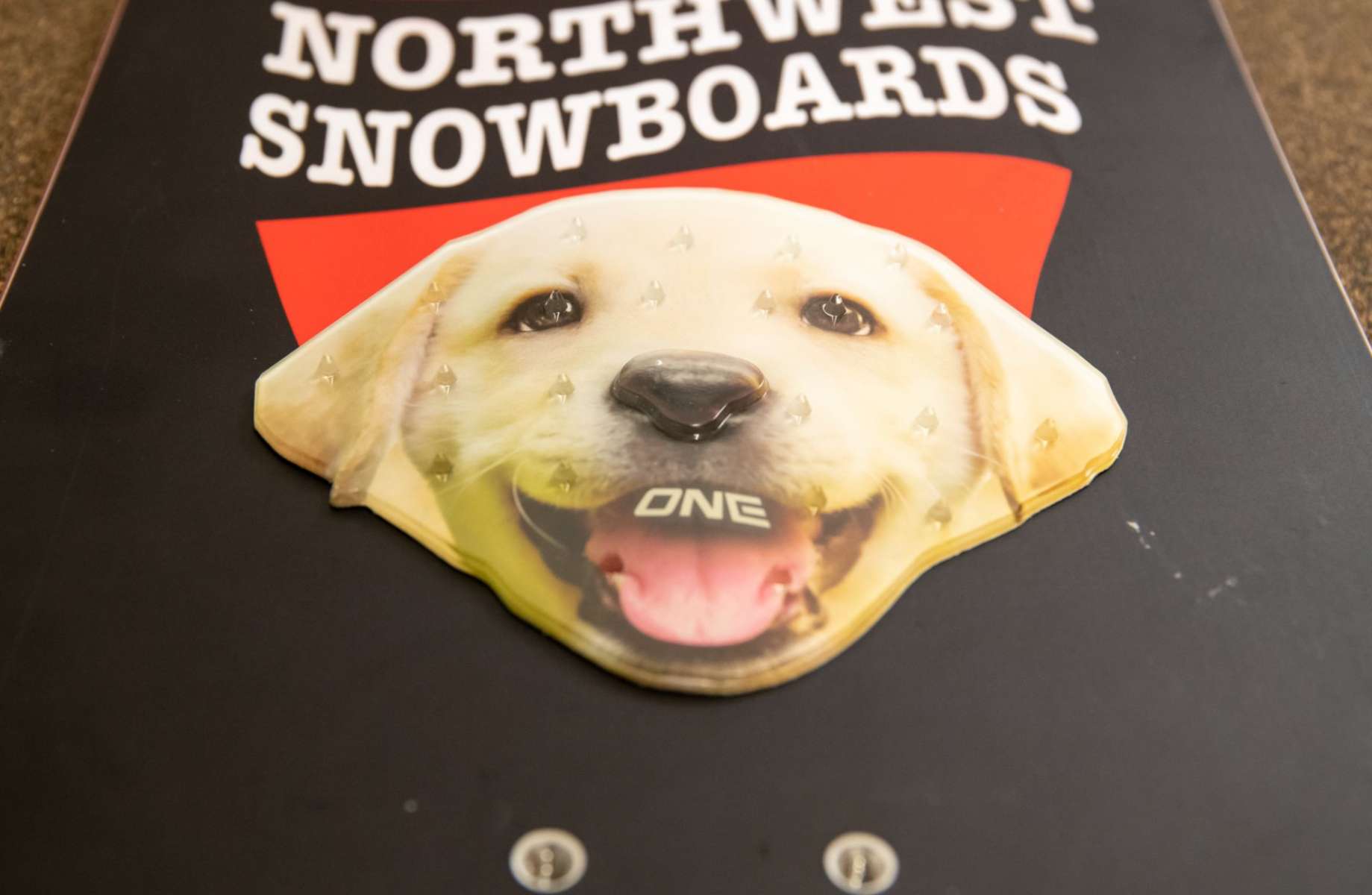 Oneball Lab Stomp Pad 2022-2023 - A white dog's face with a black nose and mouth, wearing a red hat.