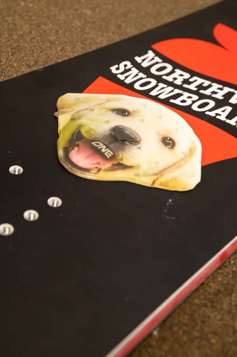 Oneball Lab Stomp Pad 2022-2023 - A white dog's face with a black nose and mouth open, wearing a green collar.