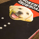 Oneball Lab Stomp Pad 2022-2023 - A white dog's face with a black nose and mouth open, wearing a green collar.