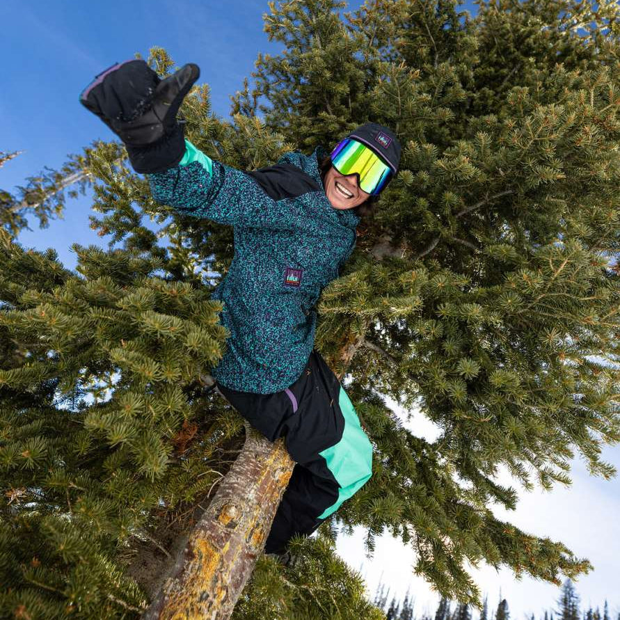 Quiksilver High Altitude 2L GORE-TEX Shell Jacket 2023 - A blue and black jacket with a snowboarder on it, wearing goggles and holding a ski pole.