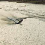 Radar Vapor Pro Build Slalom Waterski 2022 - A black waterski with red bindings and a white logo on the side, lying flat in shallow water.