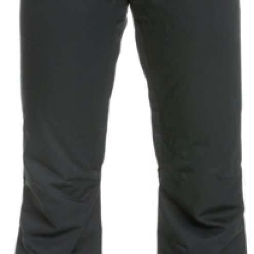 Roxy Women's Diversion Insulated Pant 2023 - Black insulated snow pants with a quilted pattern on the upper thigh area.